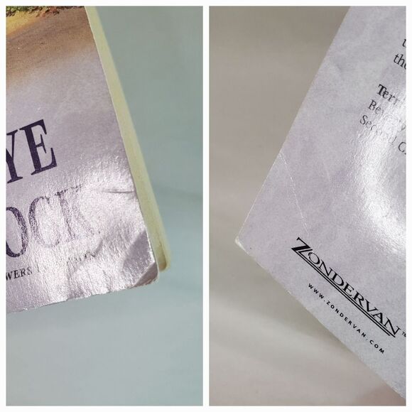 Beverly LaHaye & Terri Blackstock Season Series Mixed Lot of 4 Books PB HC - Picture 11 of 14